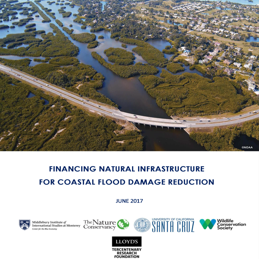 cover of financing natural infrastructure for coastal flood damage reduction